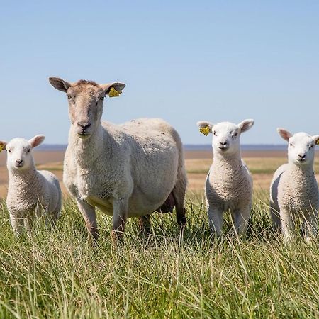 Ferienwohnung Rieke Norddeich  Exteriér fotografie