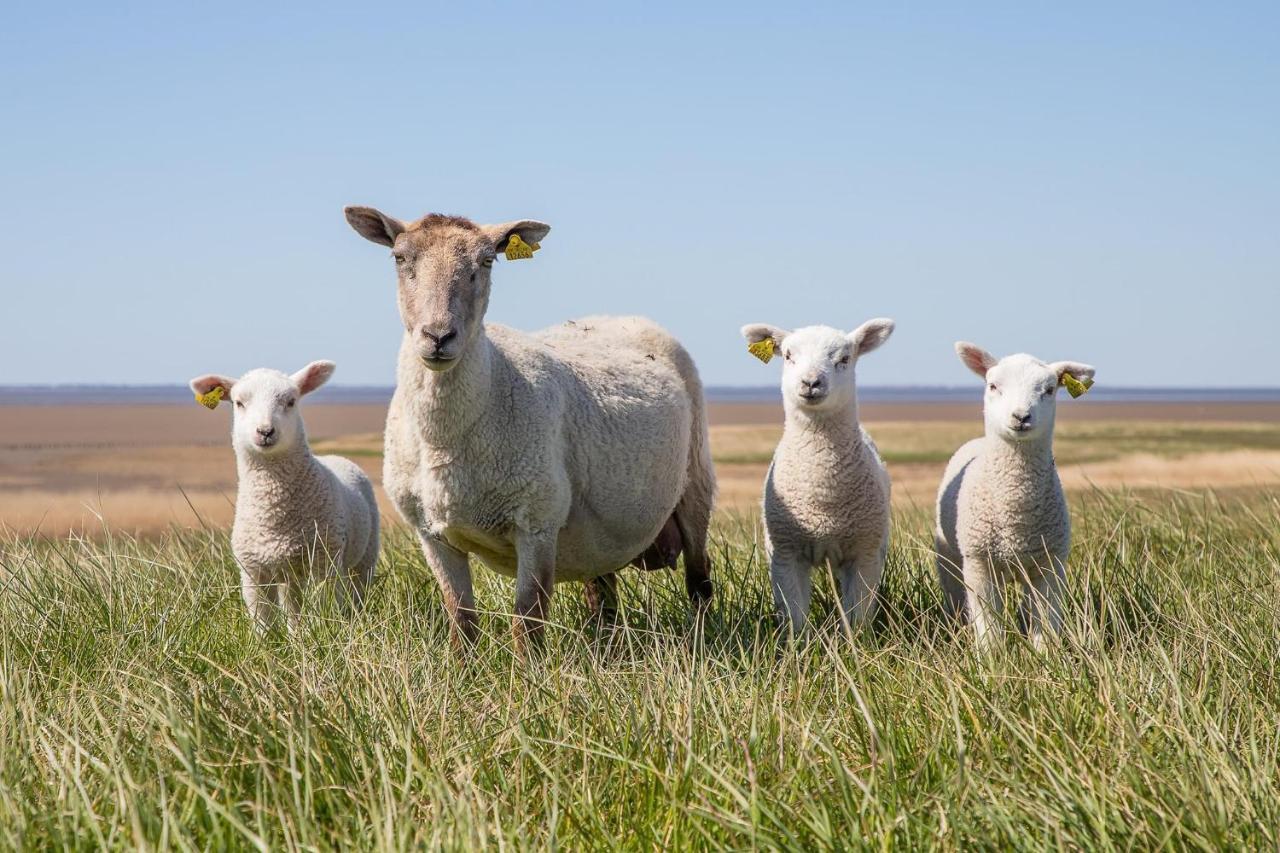 Ferienwohnung Rieke Norddeich  Exteriér fotografie
